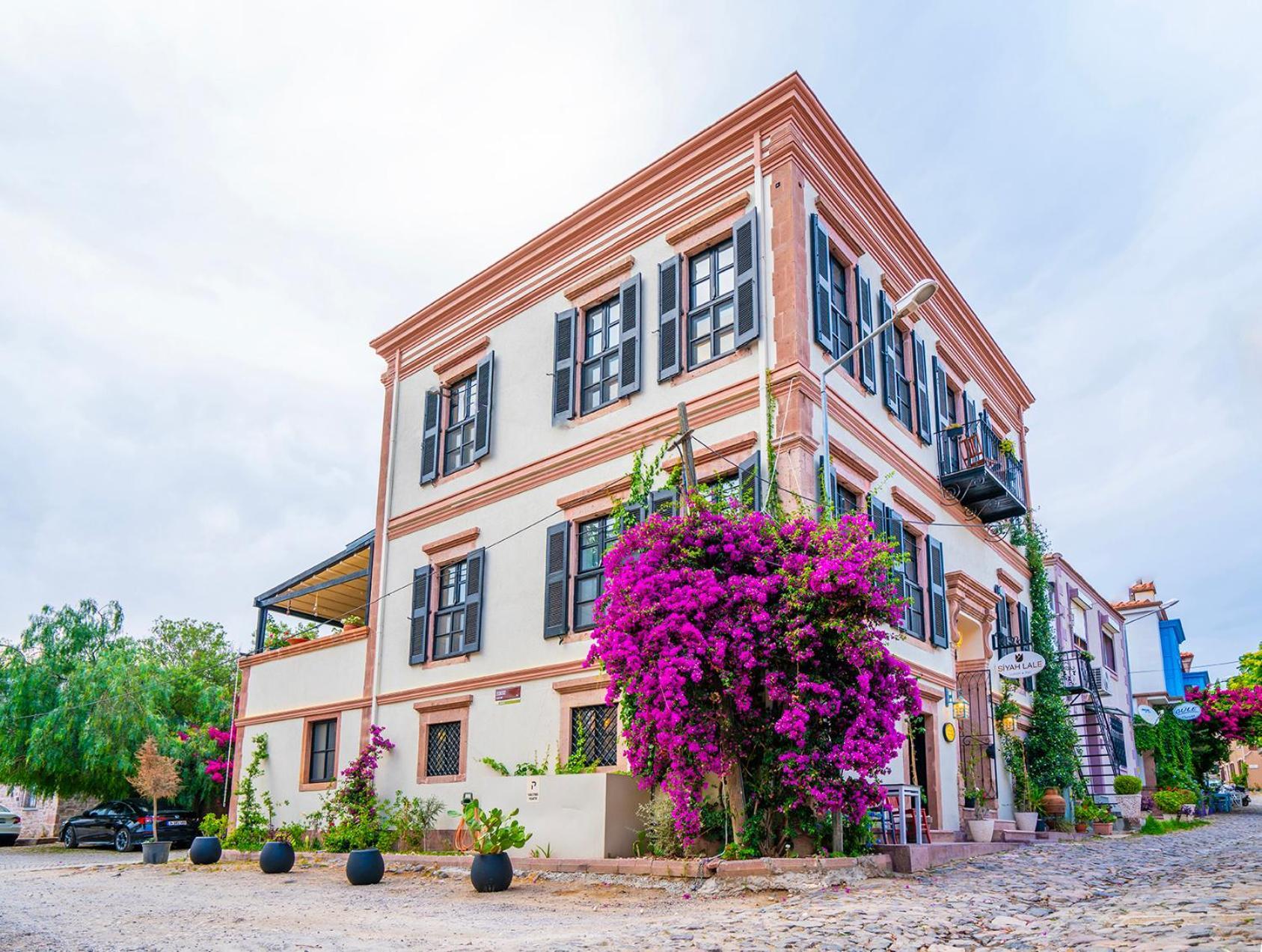 Siyah Lale Cunda 1841 (Adults Only) 호텔 Ayvalı 외부 사진